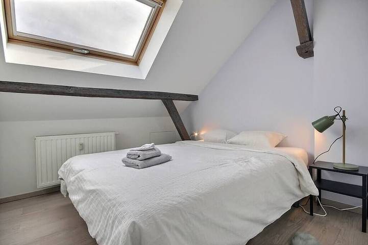 Ganze Wohnung, Saint-Rémy 2 - 2 Schlafzimmer in Lüttich, Lüttich und Umgebung
