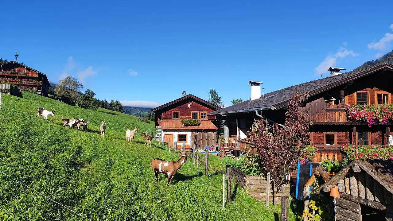 Ganze Ferienwohnung, Ferienwohnung für 2 Personen (45 m²) in Alpbach in Alpbach, Kaisergebirge