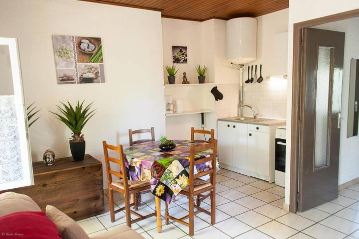 Gîte pour 2 personnes, avec jardin et piscine, animaux acceptés à Allègre-les-Fumades - 4