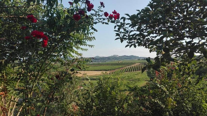 Homestay voor 5 personen, with terras and uitzicht as well as tuin in Montepulciano