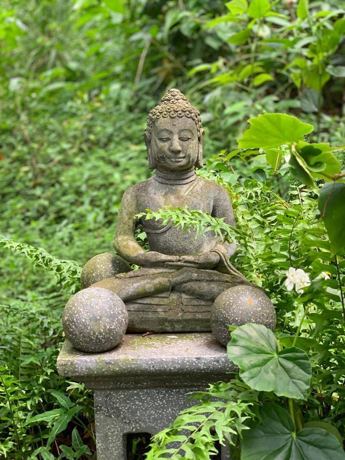 Gîte pour 5 personnes, avec piscine ainsi que jacuzzi et jardin en Martinique - 3