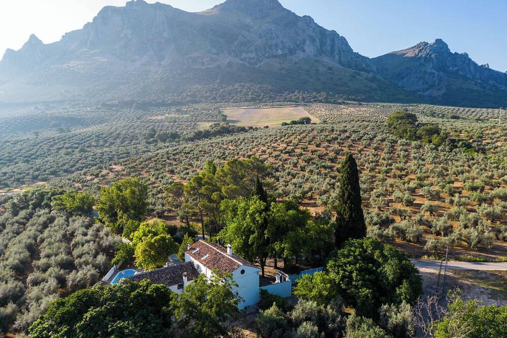 Cortijo Abril · Finca andaluza de lujo para familias, grupos y celebraciones in Priego de Córdoba, Sierras Subbéticas