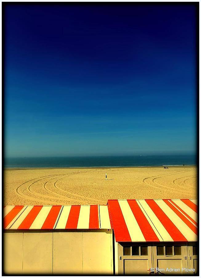 Location de vacances pour 4 personnes, avec jardin et vue, animaux acceptés à Zuienkerke - 3