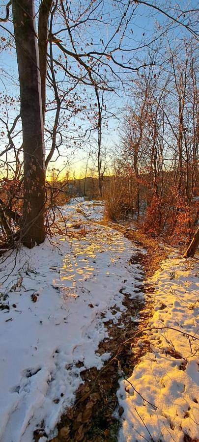 Chambre d’hôte pour 2 personnes, avec terrasse à Malmedy - 2