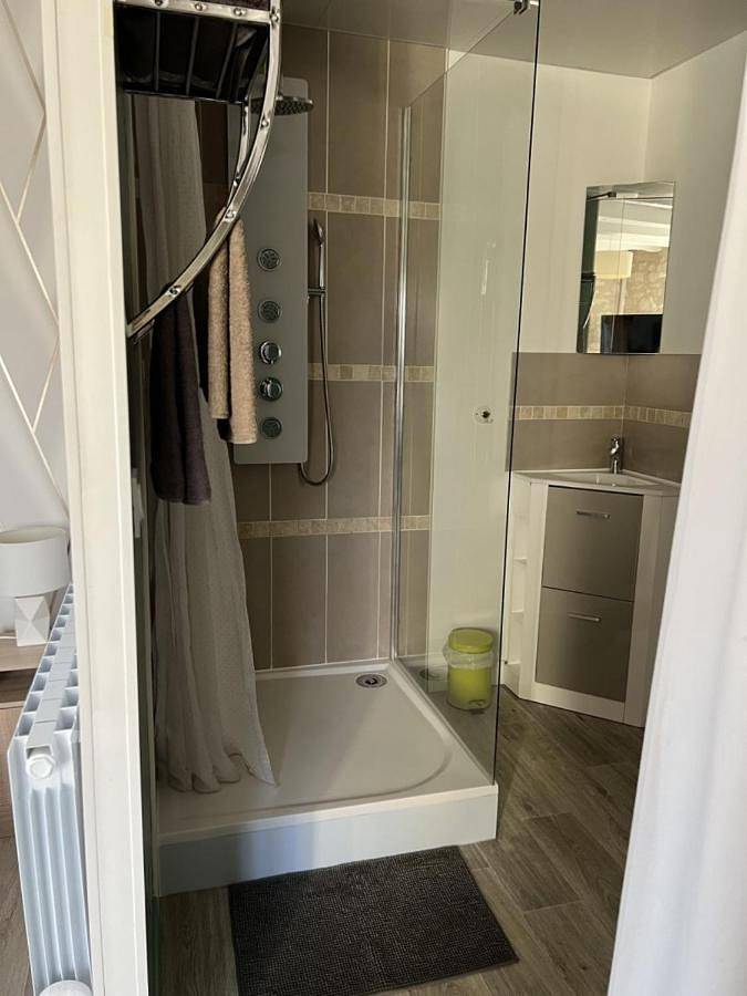 Maison d’hôte pour 6 personnes, avec piscine et jacuzzi ainsi que sauna et jardin à Sainte-Maure-de-Touraine - 3