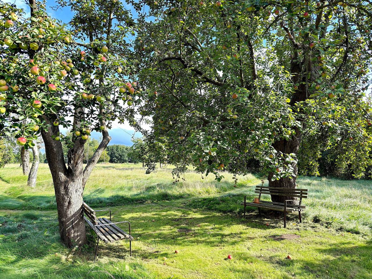 Ganze Ferienwohnung, Nature Moosbett in Burg (Spreewald), Spreewald