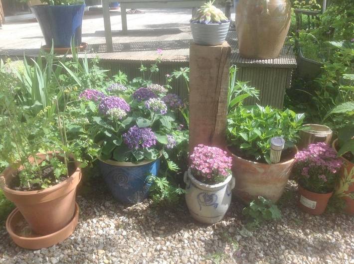 Maison d’hôte pour 6 personnes, avec jardin et vue, animaux acceptés en Seine-Maritime - 4