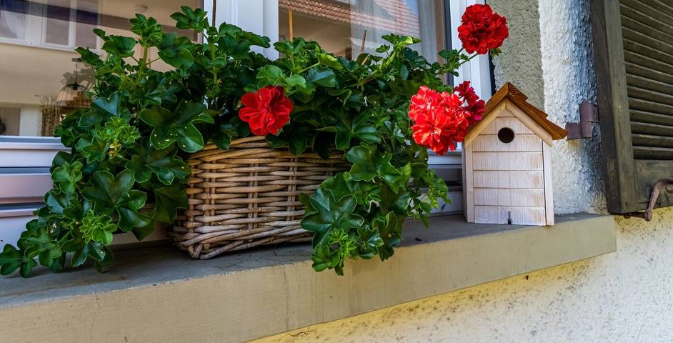 Ferienhaus für 4 Personen, mit Garten in Suedlicher Schwarzwald - 2