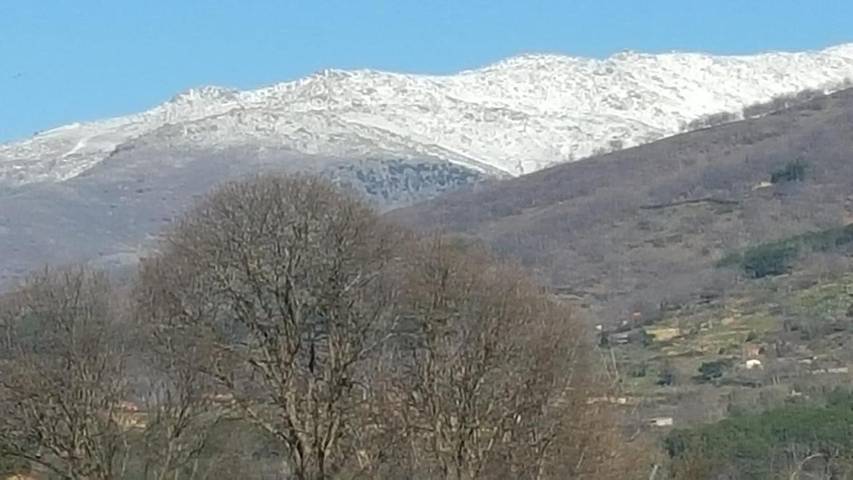 Chalet para 10 personas, con vistas y jardín, Se admiten mascotas en Valle del Tiétar - 2