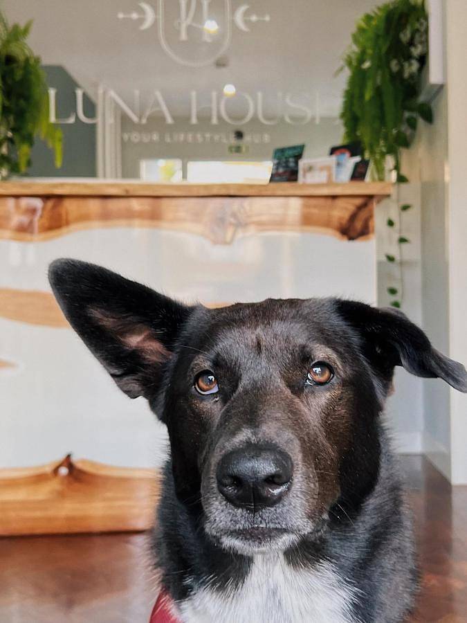 Luna House & Cowork in Cascais e Estoril, Costa de Lisboa