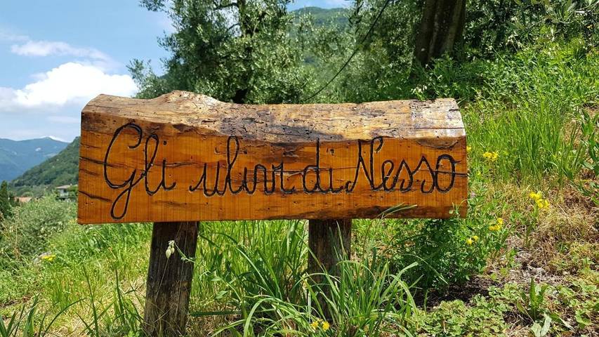 Location de vacances pour 5 personnes, avec vue ainsi que vue sur le lac et jardin, animaux acceptés dans Nesso - 2