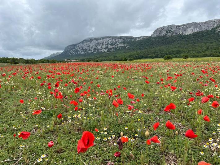 Gîte pour 4 personnes, avec terrasse ainsi que jardin et vue, animaux acceptés à Plan-d'Aups-Sainte-Baume - 3