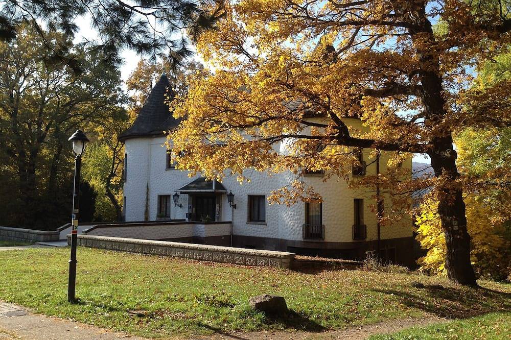 Ganze Wohnung, Villa Warzenburg, Fewo-3 mit Blick auf die Kurpromenade. Urlaub mit Hund. in Friedrichroda, Rennsteig
