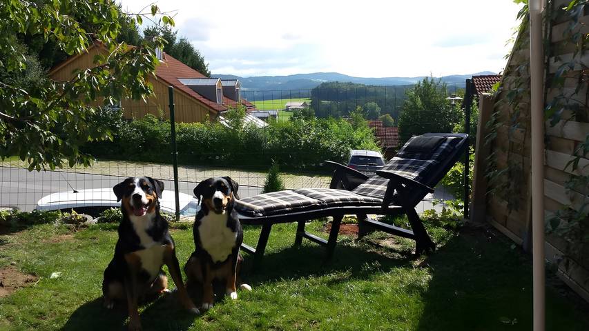 Ferienhaus für 6 Personen, mit Garten, mit Haustier in Zandt - 3