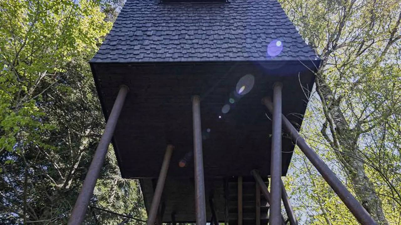 Ferienhaus für 4 Personen (50 m²) in Sulzberg in Sulzberg (Österreich), Bodensee-Vorarlberg