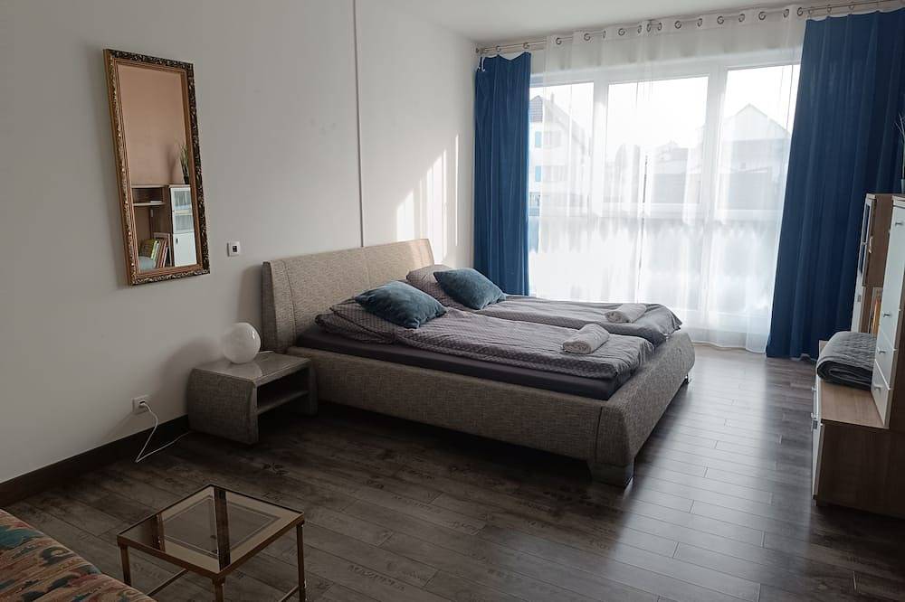 Entire apartment, Large 3-bedroom apartment 175m2 Ground floor of 3 Frontier in Hésingue, Mulhouse region
