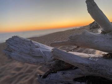 Location de vacances pour 6 personnes, avec jardin et vue dans Port de la Cotinière