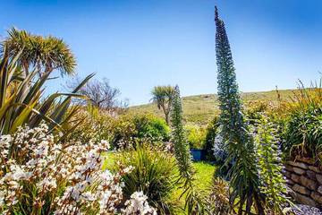 Cottage for 2 People in Sennen, Cornwall, Photo 2