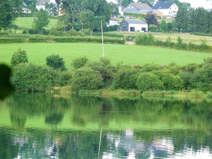 Location de vacances pour 4 personnes, avec vue sur le lac et jardin à Butgenbach - 4