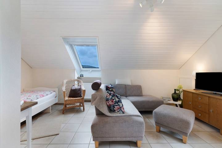 Gîte pour 4 personnes, avec jardin dans Tubingen - 3