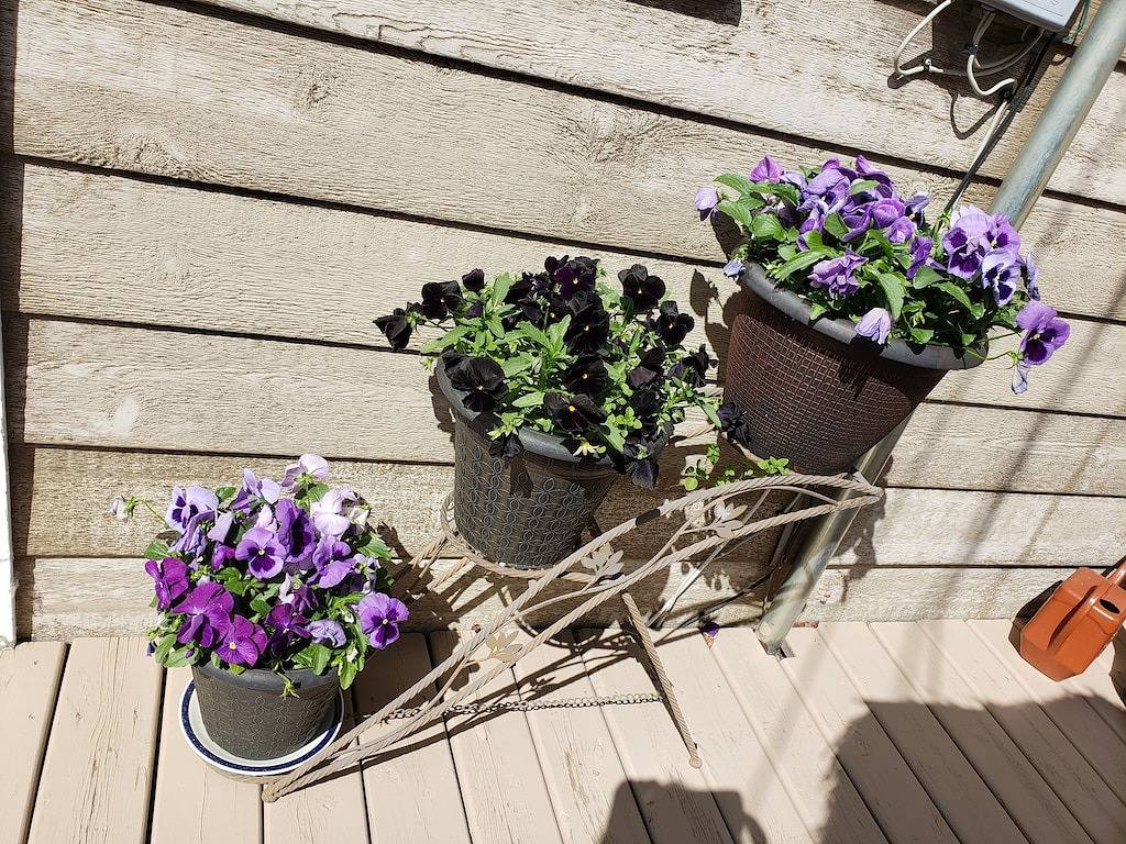 Motherlode Manor 3 ~ Home in the Wilderness City in Whitehorse, Yukon