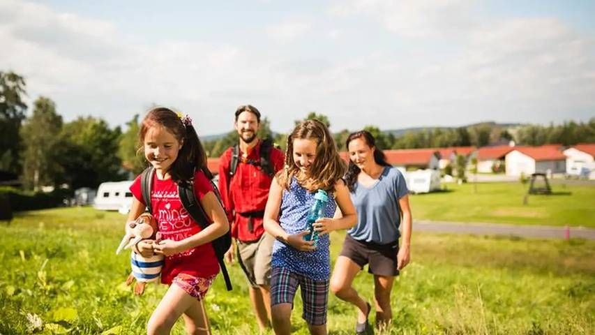 Ferienpark für 4 Personen, mit Terrasse und Pool in Sachsen - 2