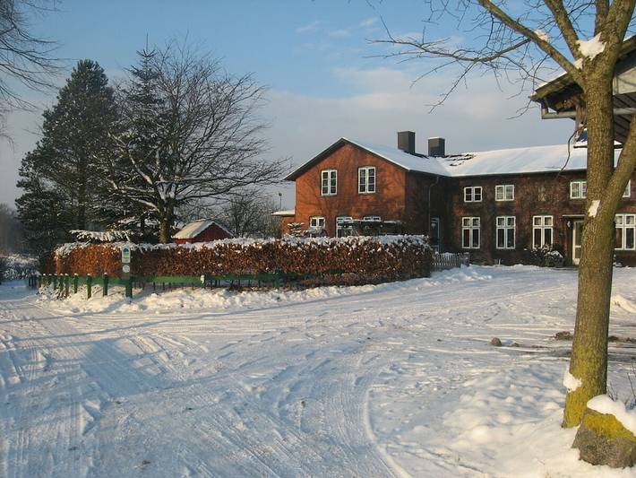 Ferienhaus für 4 Personen, mit Balkon und Garten in Westerholz