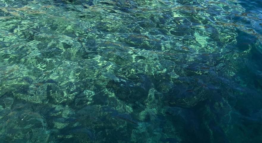 Location de vacances pour 7 personnes dans Mercato - 2