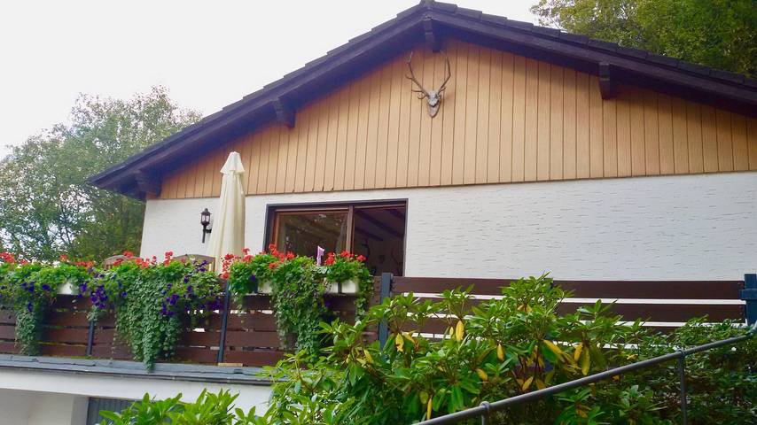 Ferienhaus für 6 Personen, mit Balkon und Garten, kinderfreundlich im Nationalpark Eifel - 4