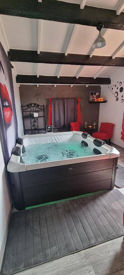 Gîte pour 2 personnes, avec jardin ainsi que piscine et jacuzzi à Villecroze - 3