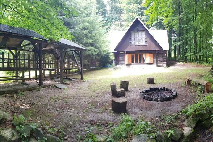 Chalet pour 12 personnes, avec vue et jardin, animaux acceptés - 1