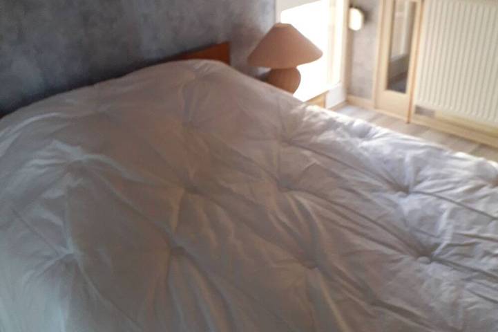 Location de vacances pour 10 personnes, avec balcon et jardin dans Lac de Vouglans - 4