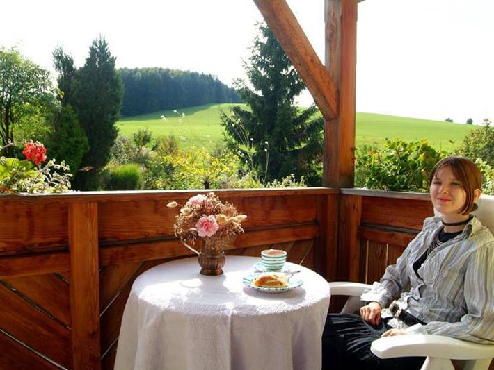 Ferienwohnung, mit Balkon und Terrasse sowie Garten am Traunsee - 3