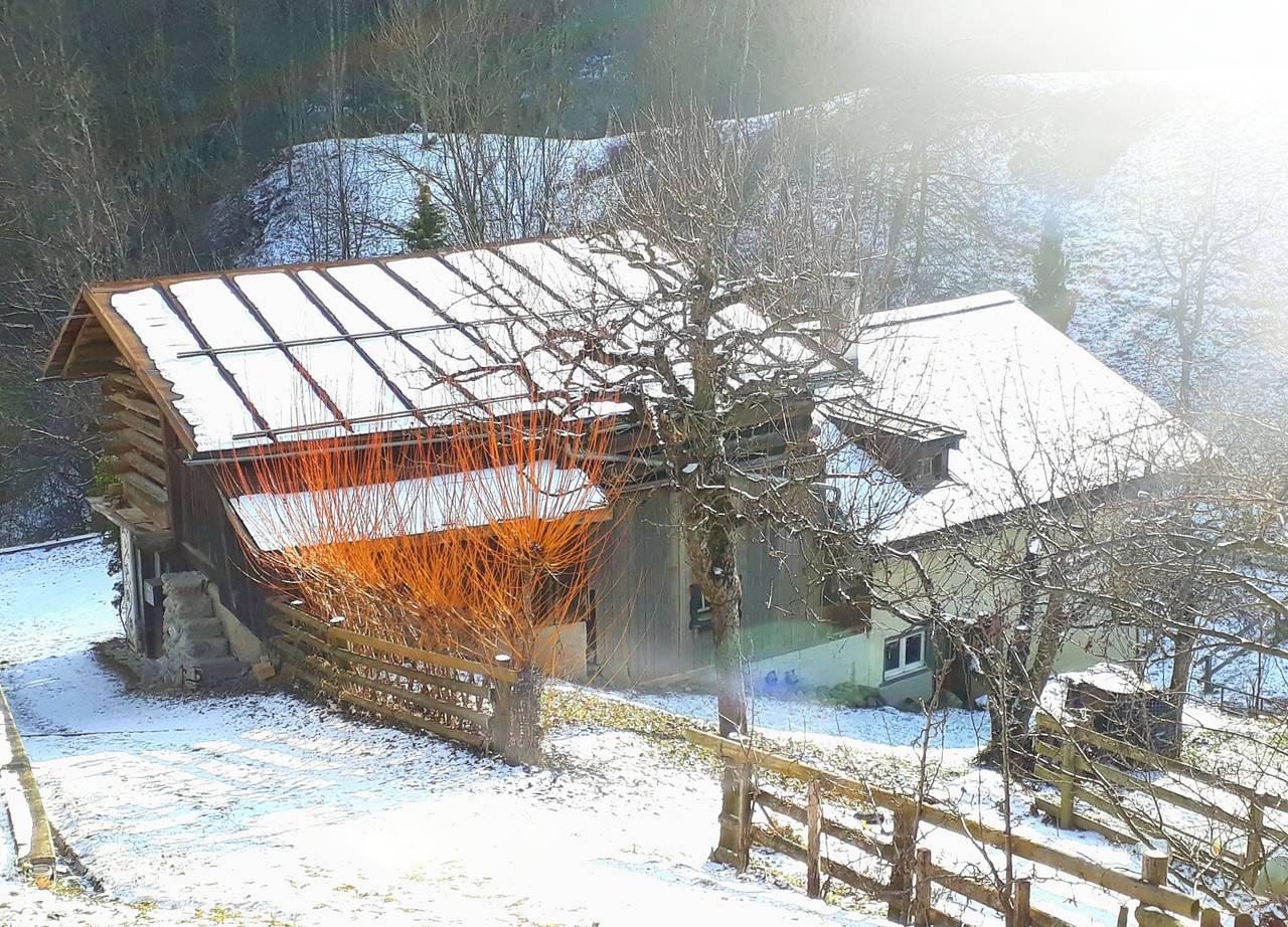 Ganze Ferienwohnung, Ferienwohnung Signina, Danis - 5 Zimmer Ferienwohnung für max. 9 Pers. in Brigels, Alpenarena