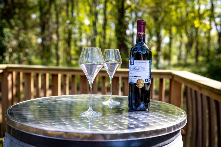 Hel lejlighed, Ôtonneauxstress – Vigneron: Unique Accommodation Between Vineyards and Ocean in Saint-Vivien-de-Médoc, Lesparre-Médoc Området