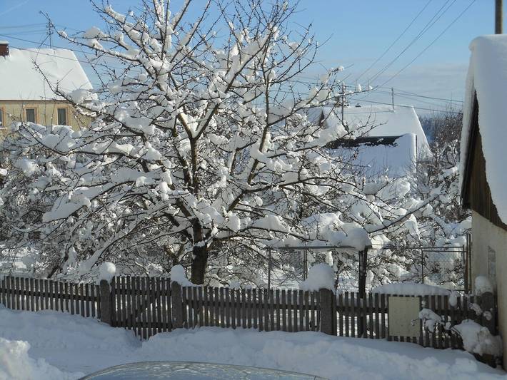 Bauernhof für 4 Personen, mit Garten im Fichtelgebirge - 2