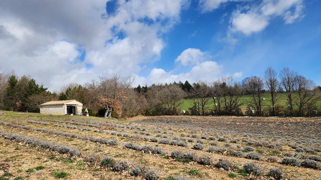 Pré-Long in Revest-du-Bion, Région de Forcalquier