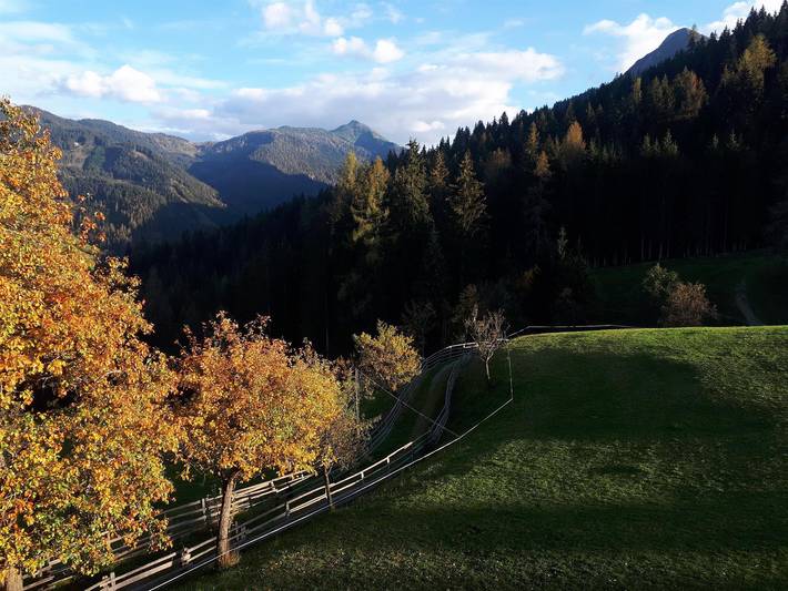 Ferienwohnung für 6 Personen, mit Balkon in Flachau - 3