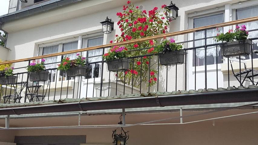 Location de vacances pour 2 personnes, avec Balcon et Terrasse ainsi que Jacuzzi et Jardin à Niedermorschwihr