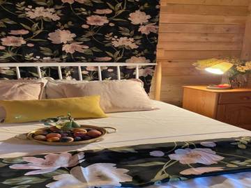 Vakantiehuis voor 4 Personen in Poolse Oostzee, Afbeelding 3