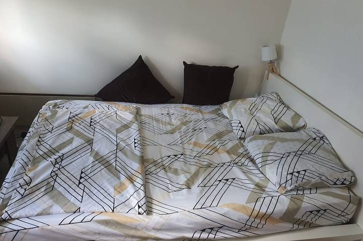 Gîte pour 2 personnes, avec jardin et piscine à Maisons-Alfort - 4