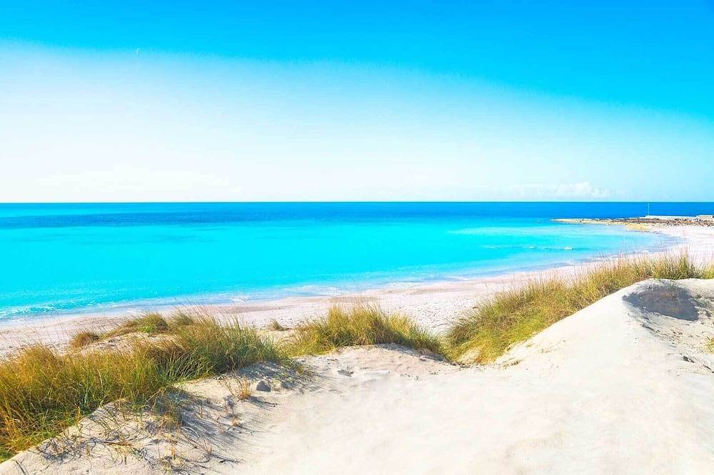 Appartamento appera ristrutturato ad un passo dal mare,Wf, Aria Condizionata in Rosignano Solvay, Costa degli Etruschi
