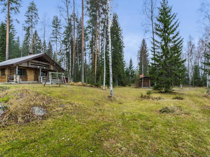 Mikko in Hankasalmi, Mittelfinnland