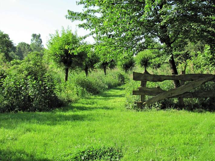 Ferienwohnung für 2 Personen, mit Garten, mit Haustier in Timmeler Meer - 4