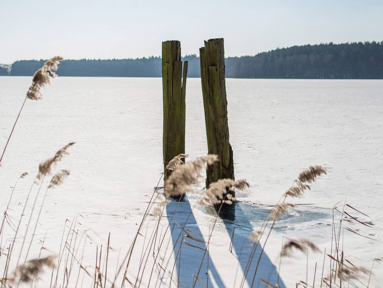 Ferienhäuser am See - 55m²- Dhh (a) in Drewitz, Nossentiner Hütte