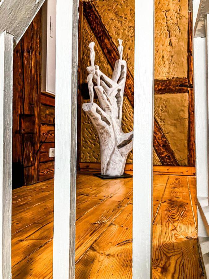 Ferienhaus für 6 Personen, mit Garten, mit Haustier in Gohrisch - 3