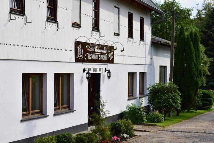 Gästehaus, mit Terrasse und Garten in Lohmen (Sachsen)