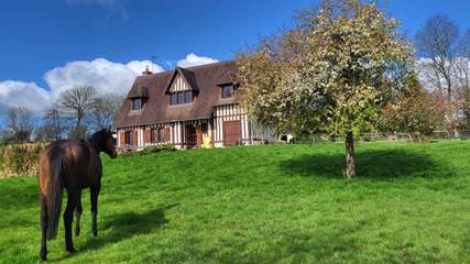 Chambre d’hôte pour 5 personnes, avec jardin et vue, animaux acceptés dans le Calvados