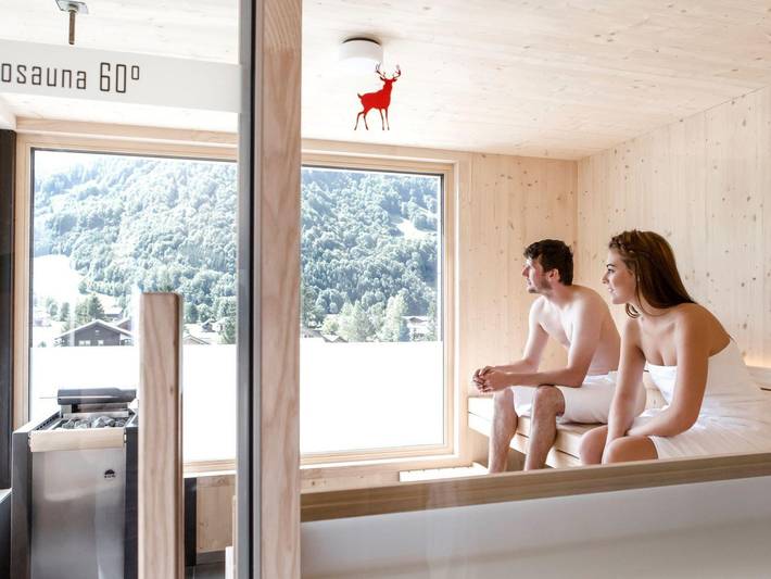 Aparthotel Hubertus Mellau - Apartment 14 talseitig in Bregenzerwald (Vorarlberg), Mellau