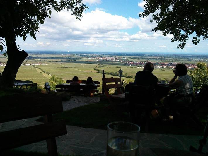 Ferienwohnung für 3 Personen, mit Garten und Terrasse, mit Haustier in Rheinebene - 4